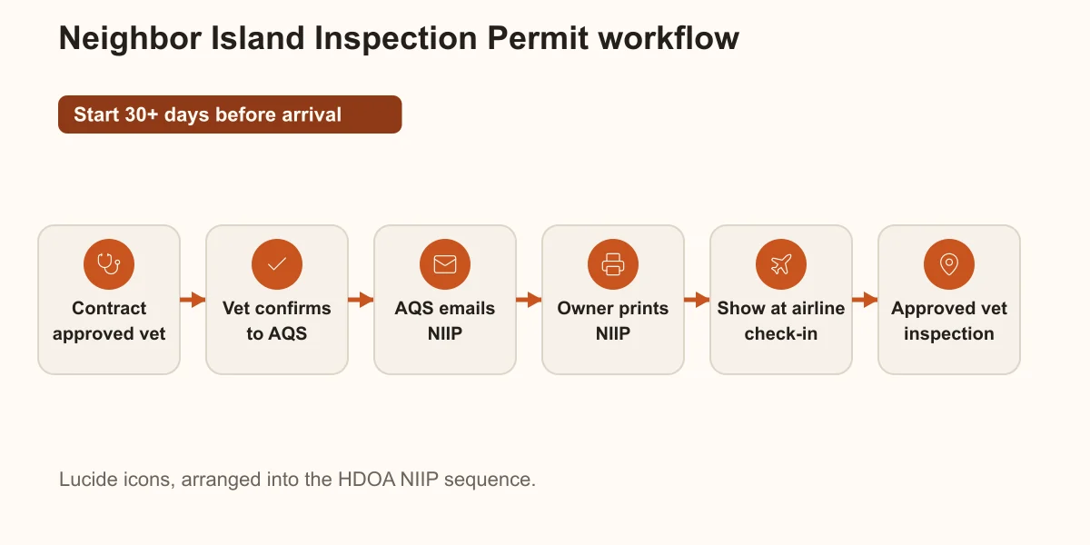 Workflow diagram showing the 30-day NIIP application sequence: contract approved vet, vet confirms to AQS, AQS issues NIIP via email, owner prints NIIP, presents at airline check-in, arrives at neighbour island, brings pet to approved vet for inspection.