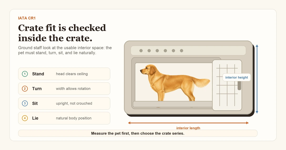 A medium-size dog standing inside an open IATA-compliant cargo crate, with the dimensions labeled (length, width, height) and a measurement diagram showing the pet's standing height and length-from-nose-to-tail.