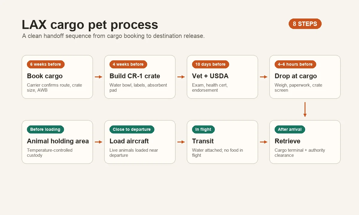 Vertical 8-step flowchart showing the LAX cargo pet process: book cargo (-6w), build CR-1 crate (-4w), vet exam (-10d), drop off (-6h), holding area, load, in-flight, destination retrieval. Pawvisa accent for the time markers.