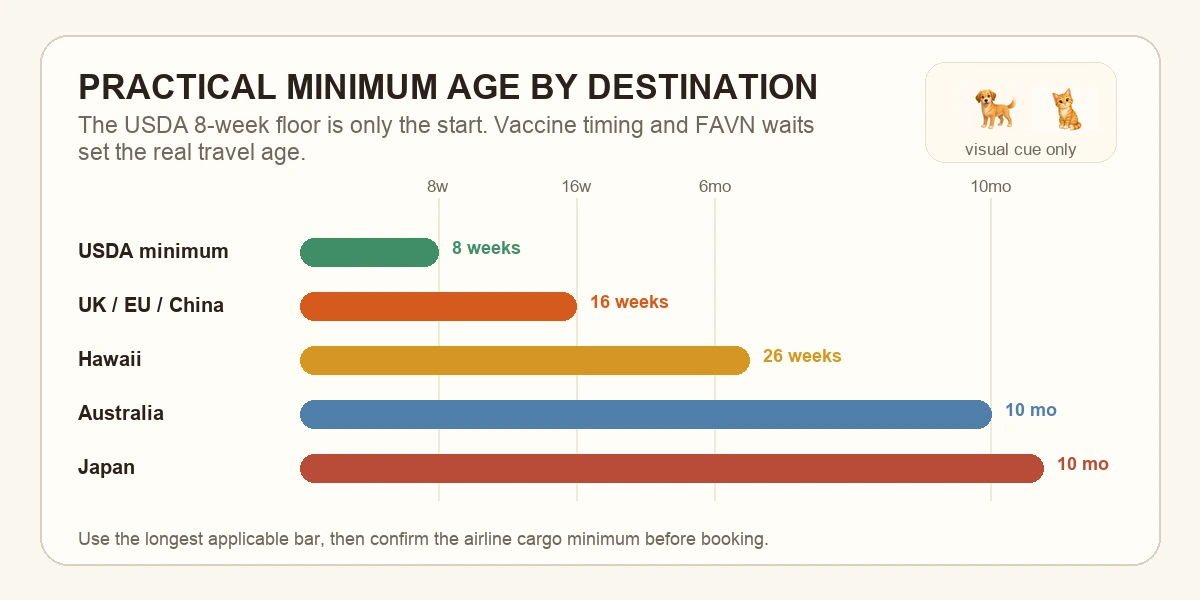 Horizontal bar chart showing the minimum age in weeks at which a puppy or kitten can fly to each major destination: Mexico (no cert, 8 weeks USDA min), UK/EU (15-16 weeks), China (15-16 weeks), Korea (15-16 weeks), Hawaii (24-26 weeks), Japan (10 months), Australia (9-10 months).