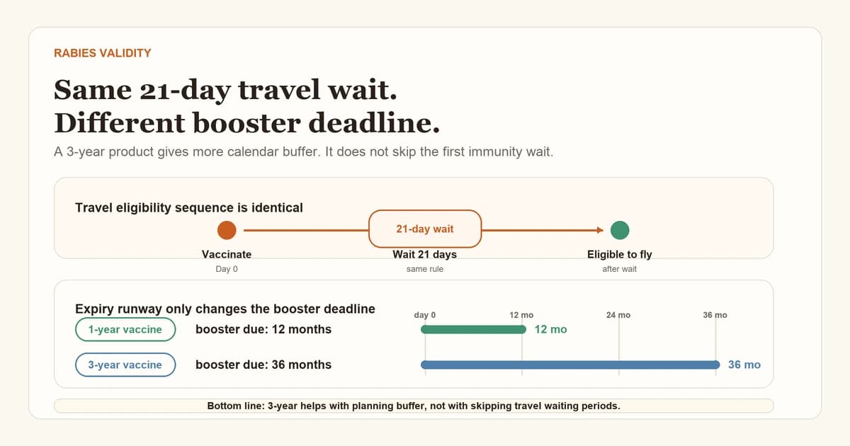 Diagram explaining that 1-year and 3-year rabies vaccines have the same 21-day travel wait, but different booster deadlines: 12 months for a 1-year vaccine and 36 months for a 3-year vaccine.
