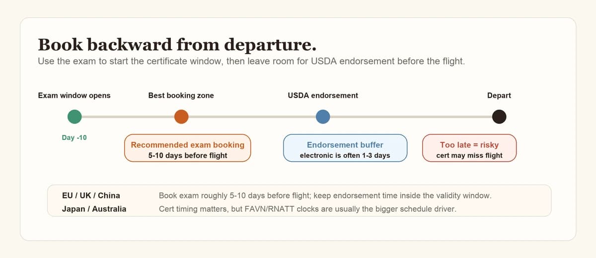 Countdown timeline for booking a fitness-to-fly exam before departure, showing the 5-10 day recommended booking zone, USDA endorsement buffer, and the risk of booking too close to the flight.