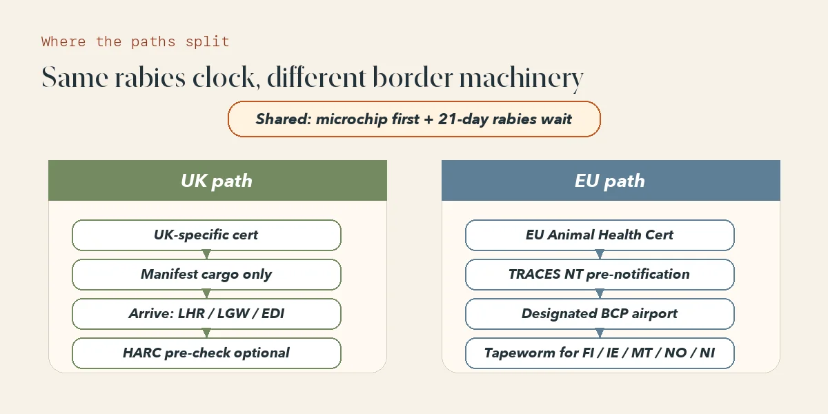 Side-by-side diagram showing the UK and EU pet entry paths post-Brexit, with the key differences (cert type, approved airports, cabin rule, tapeworm, TRACES) highlighted as branching points.